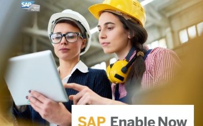 SAP Coltecinfo