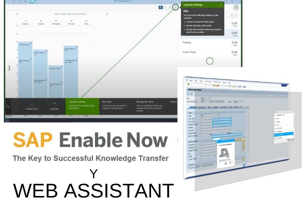 ¿Para qué sirve el módulo Web Assistant de SAP Enable Now?